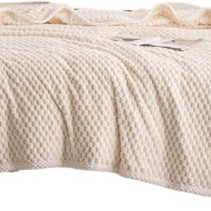 AFPSDLFJDLS Blanket Air Conditioning Blanket Coral Velvet Sofa Nap Small Blanket Office Shawl Sofa Throw Blanket(200 * 230CM)