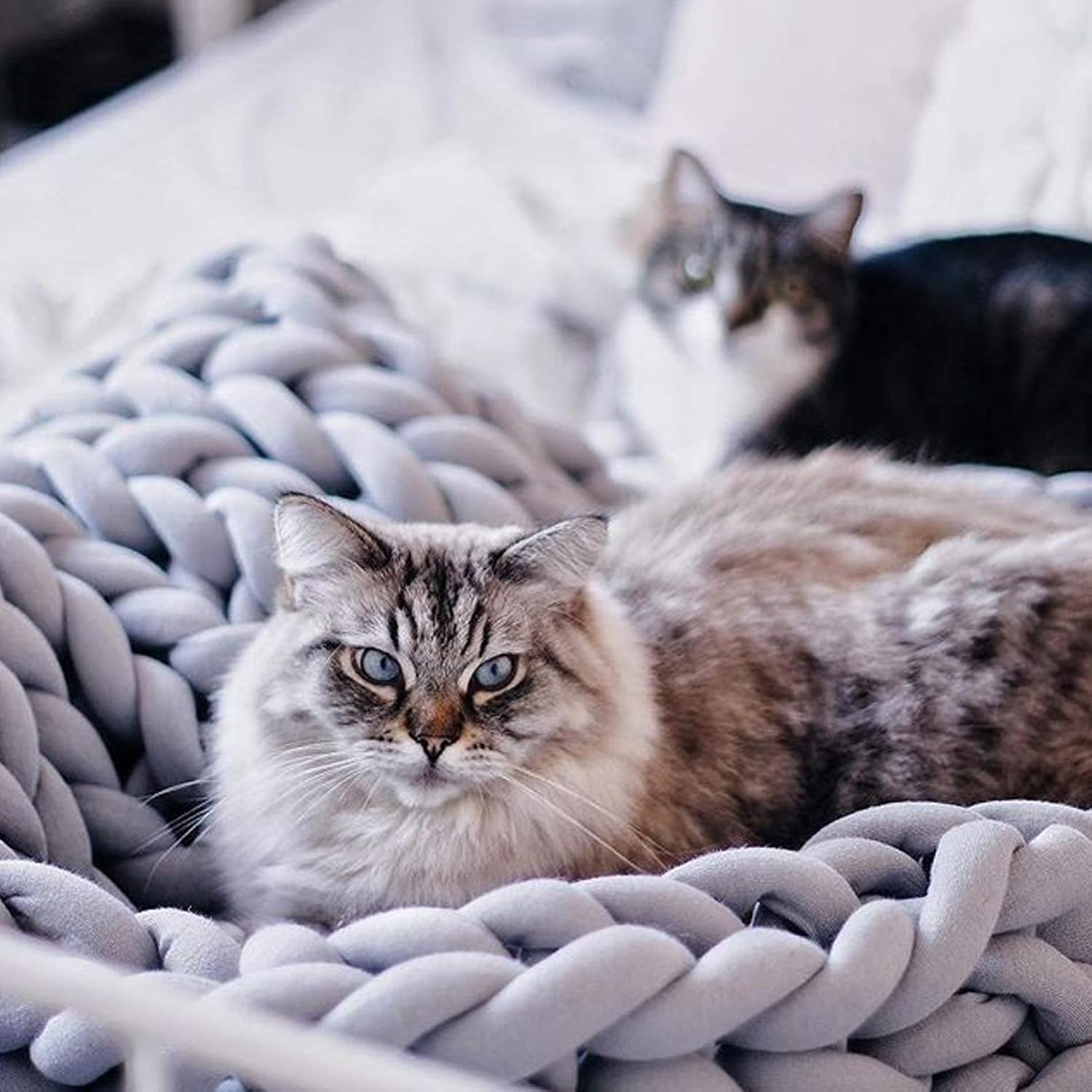 Daoyuan Chunky Knit Blanket Soft and Huge Throw Modern Bedding Handwoven Chenille for Bed Room\/Couch\/Bed\/Pet Mat\/Baby Blanket\/Gift,Beautiful Home Decoration - Image 2