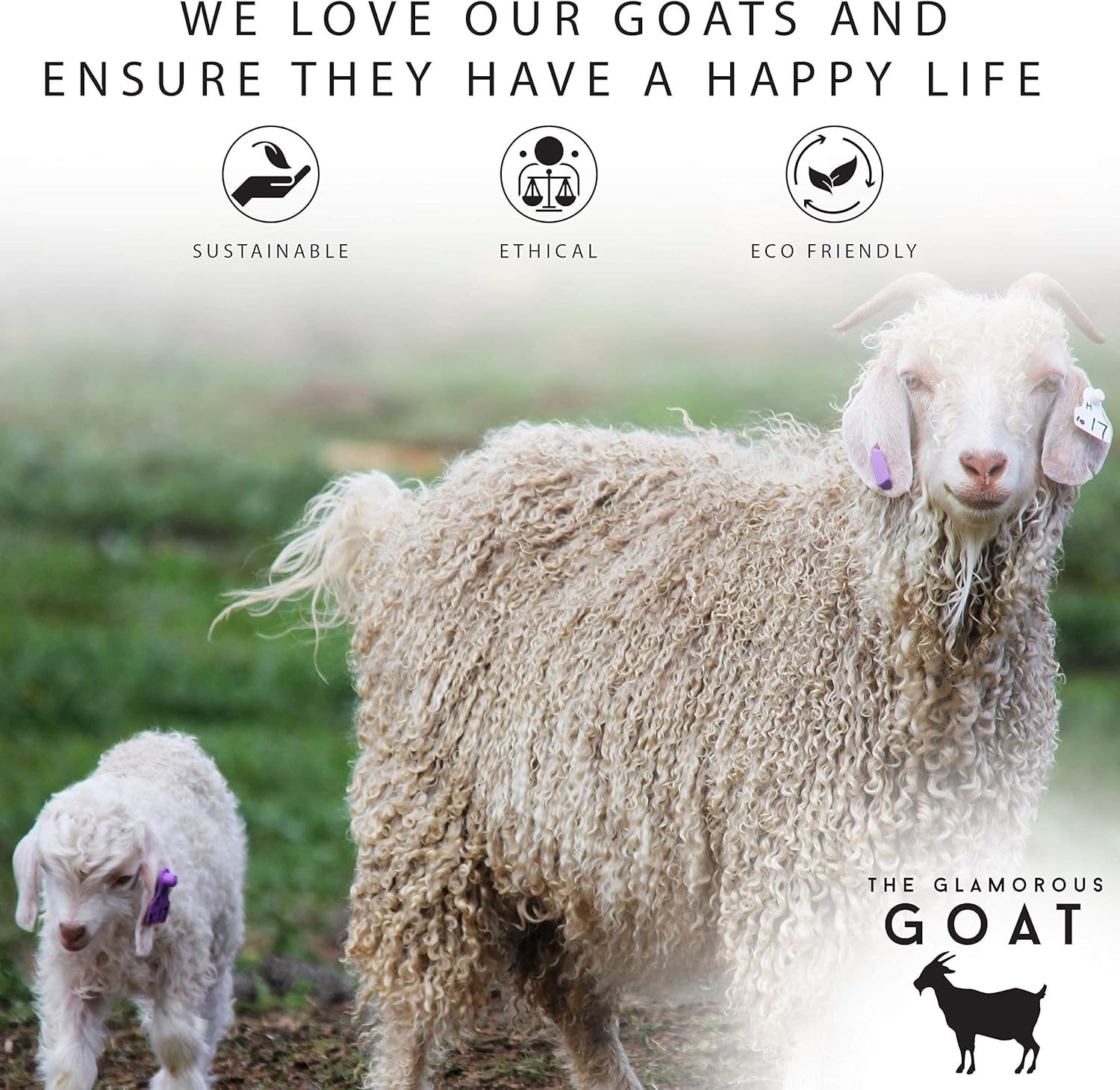 Glamorous Goat Merino Wool Throw Blanket - 55% Mohair, 34% Wool, Ultra Soft and Fluffy, Warm and Cosy, Ethically-sourced. 71' x 51'. Hemp Carrier Bag Included (Charcoal) - Image 3