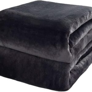 TEOYETTSF Autumn and Winter Warm and Thickened Flannel Throwing Blanket Solid Color Skin-Friendly Adult Home Textile 150x200cm